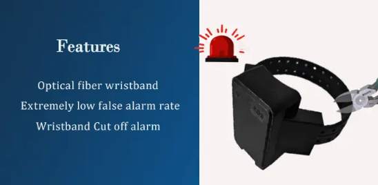 GPS ankle monitor.png